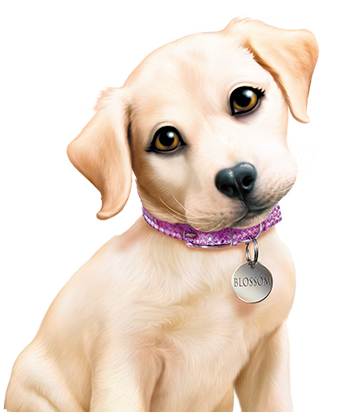 Puppy